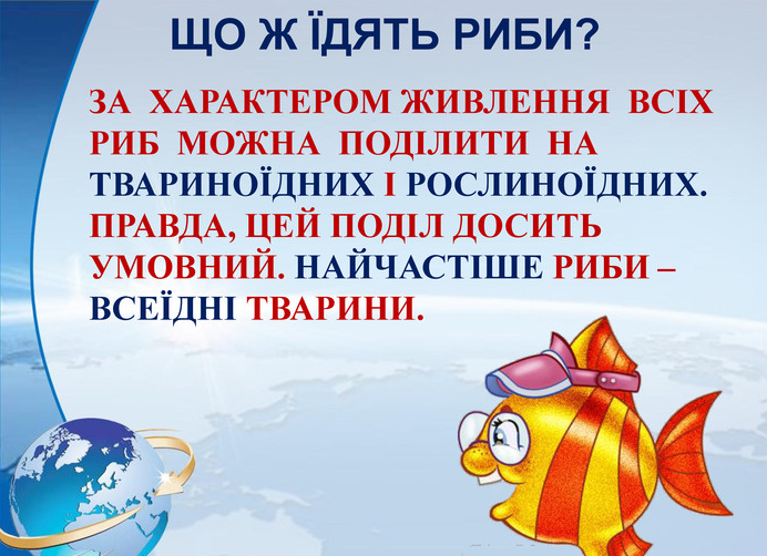 Що їдять риби: розкриваємо таємниці їхнього раціону