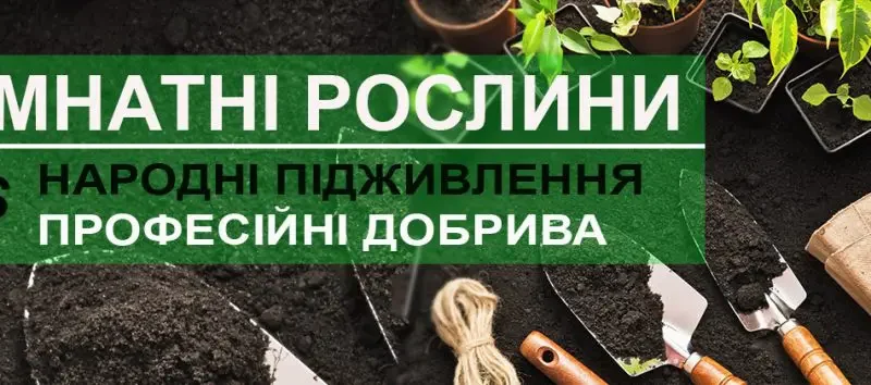 Просте добриво, яке замінить дорогі куповані: для кімнатних рослин