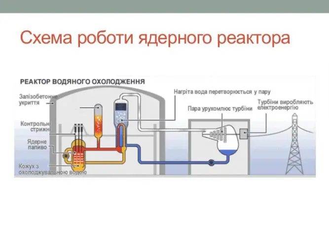 Ядерний реактор: Як працює серце атомної енергії
