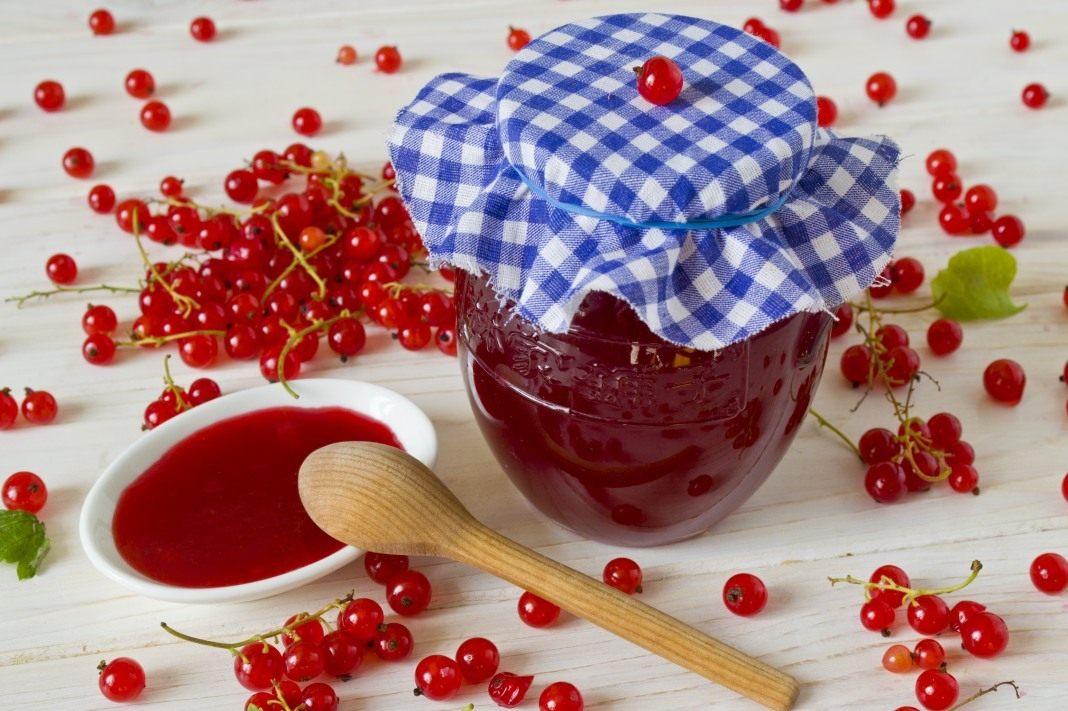 Як приготувати желе із червоної смородини / фото botanichka.ru
