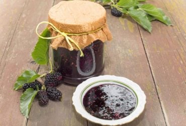 Варення з шовковиці білої або чорної: 3 кращих рецепта