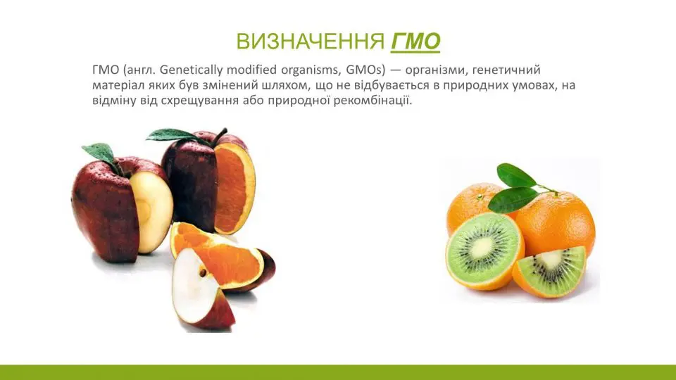 Що таке ГМО: Повний гід про генетично модифіковані організми