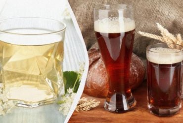 Як вдома приготувати квас - рецепт з бузини, цикорію та інших продуктів