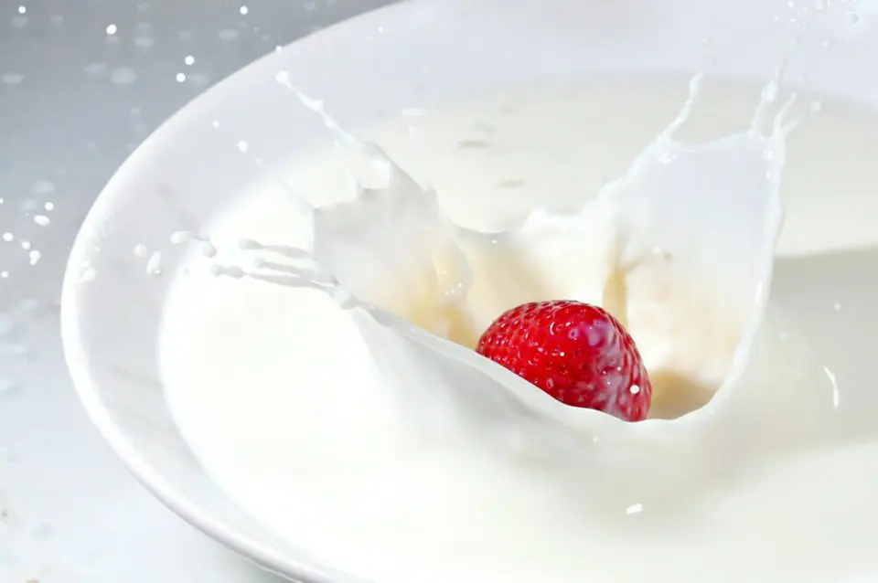 Як класифікують кисломолочні продукти: глибоке занурення в світ смаку та користі