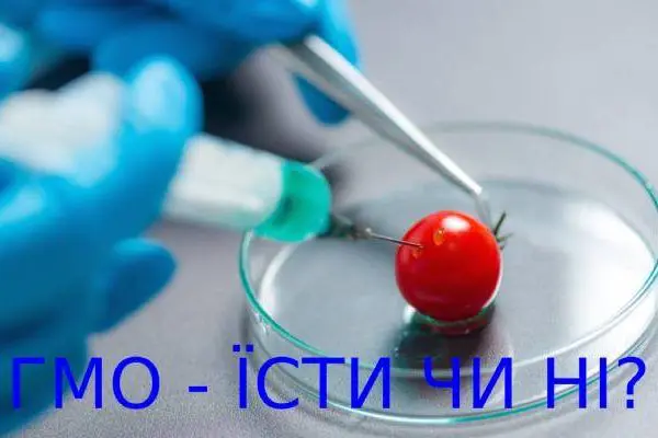 Міфи про ГМО: розвінчуємо стереотипи та відкриваємо правду