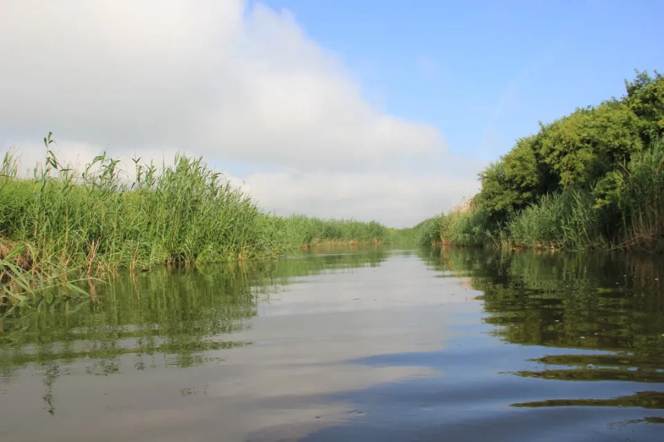 Найбільші водойми Львівщини: перлини природи та їх таємниці